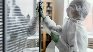 уборка после дезинсекции заказать